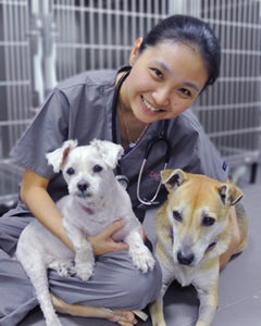 furiends dog and cat clinic