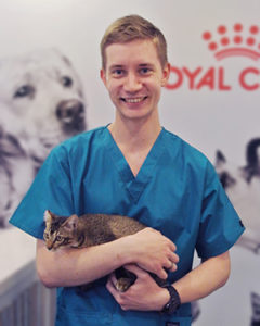 furiends dog and cat clinic