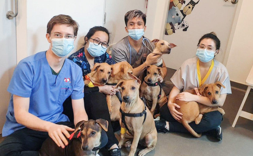 About Us | Furiends Veterinary Clinic